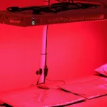 Best Red Light Therapy Panel